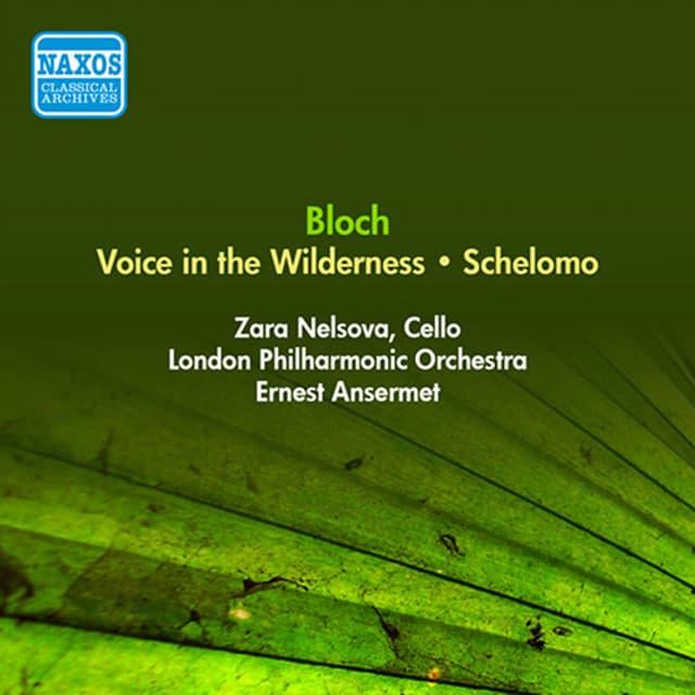 Voice in the Wilderness cover art
