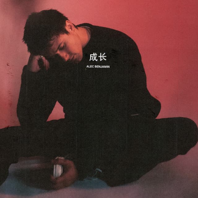 成长 (Older) cover art