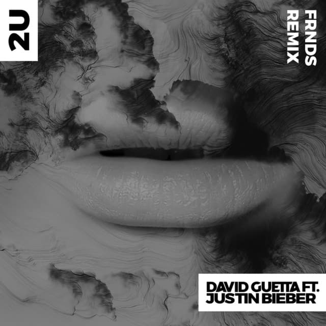 2U - FRNDS Remix cover art