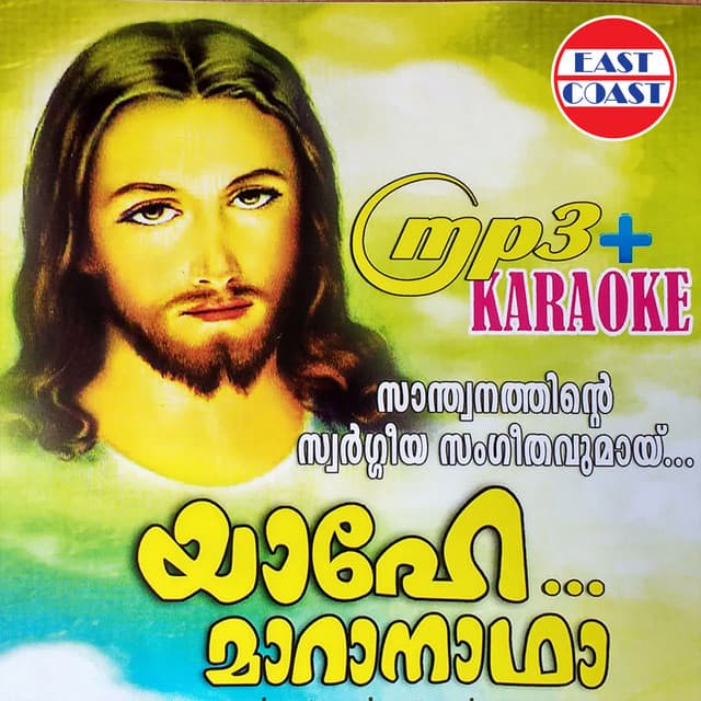 Sahanam Punyam M cover art