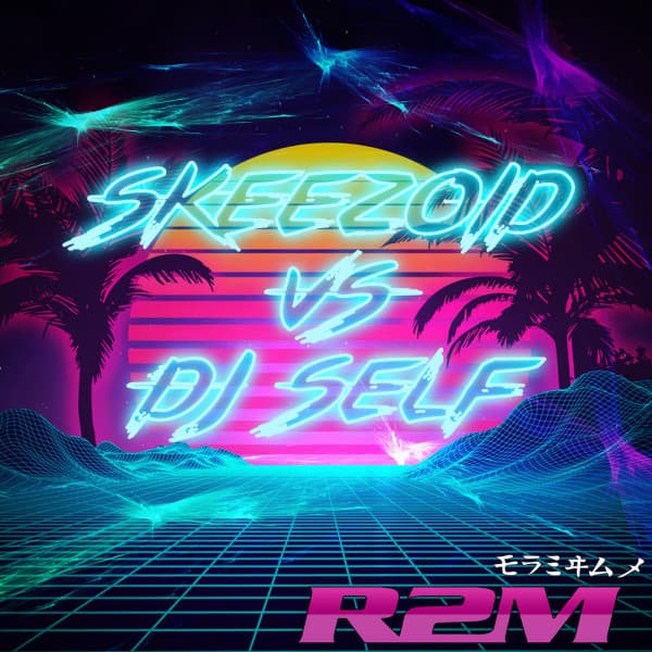 Skeezoid VS Dj Self cover art