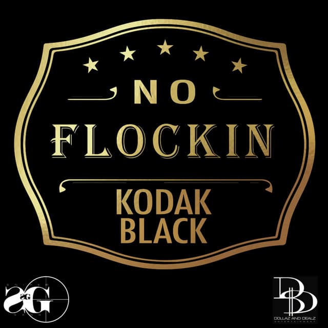 No Flockin' cover art