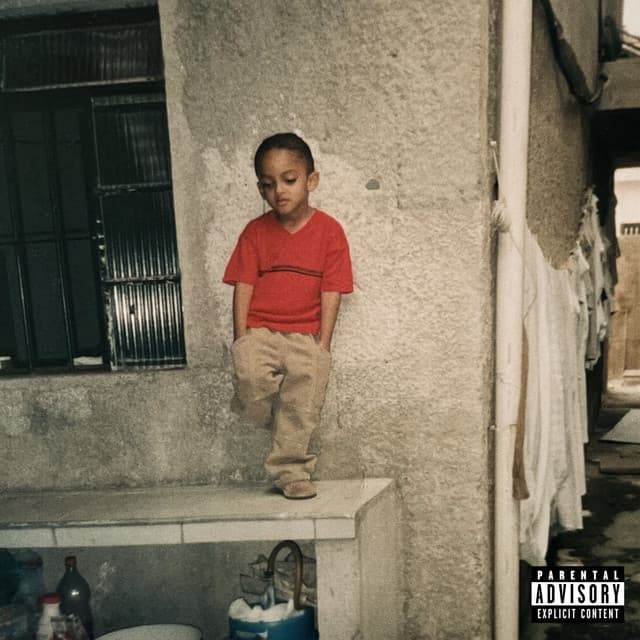 Nasceu na Sul cover art