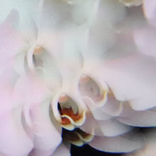 Not What You Expected - Plaid Remix cover art
