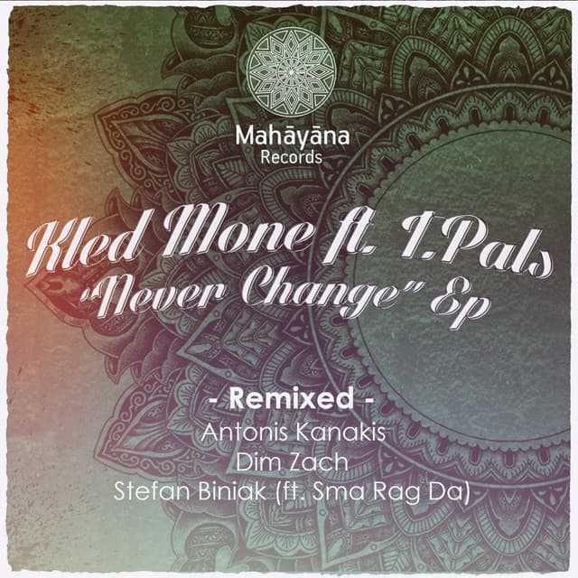 Never Change - Stefan Biniak Remix cover art