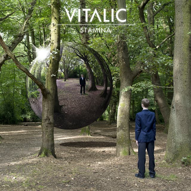 Stamina - Le Castle Vania remix cover art
