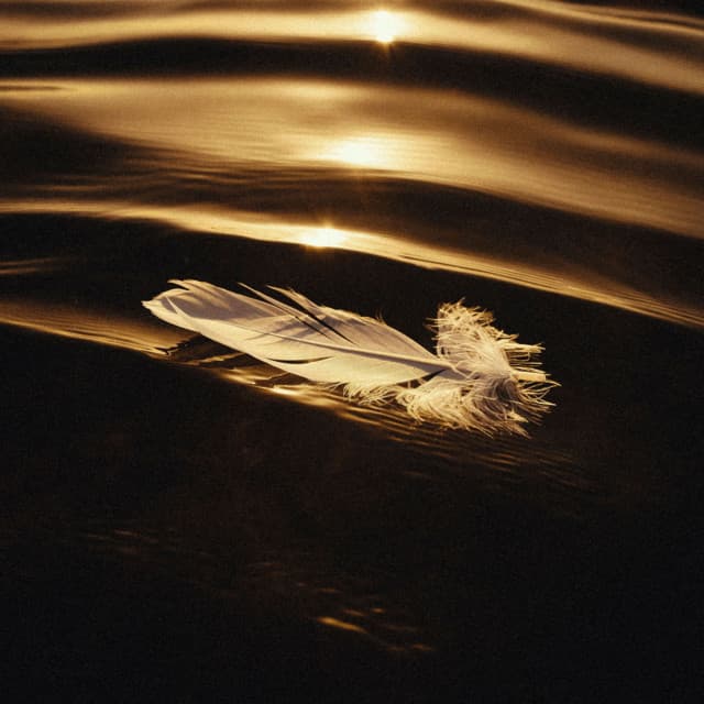 Icarus & I cover art