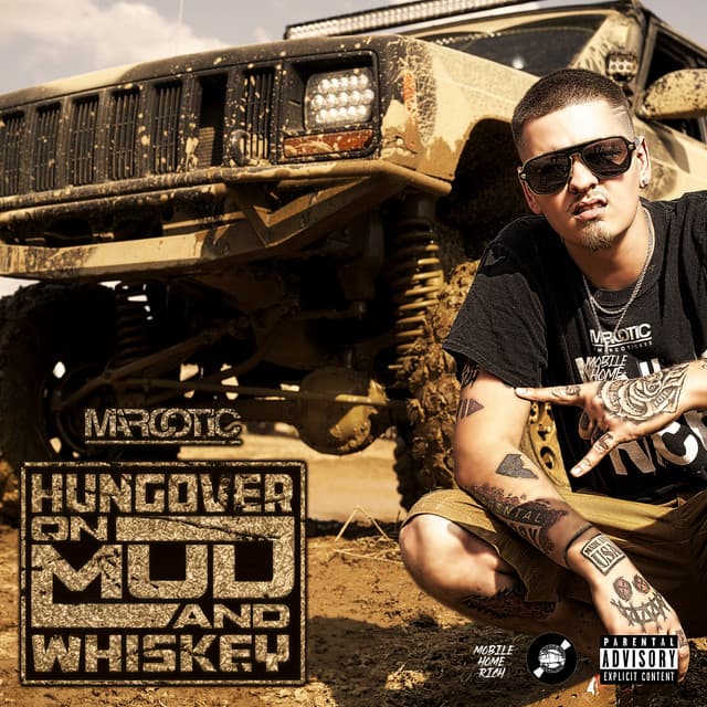 Tennessee Sh*t cover art