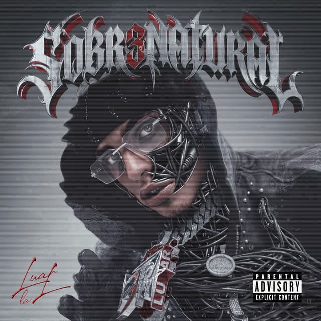 ⁠Historia De Un Gangster (feat. Juhn) cover art