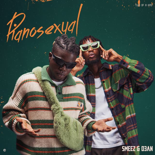 C'est Fini (with Sikiboi) cover art