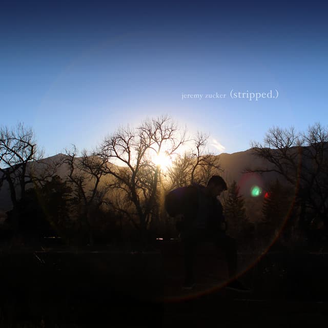 circles (stripped.) cover art