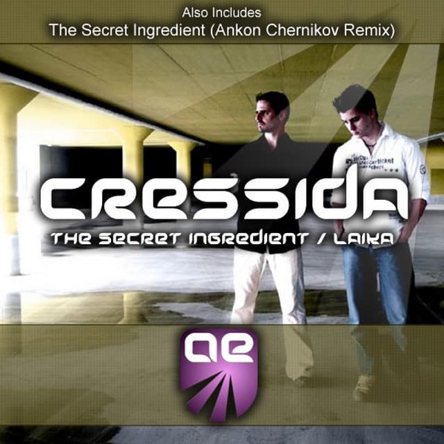 The Secret Ingredient - Anton Chernikov Remix cover art