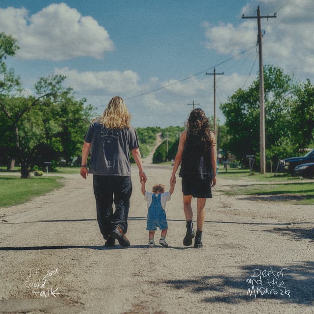 If You Could Talk cover art