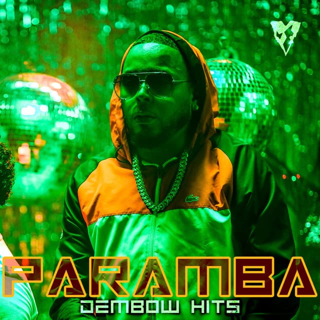 Tu Eres Señorita - Remix cover art