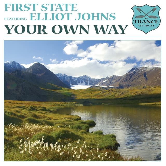 Your Own Way - Radio Edit cover art