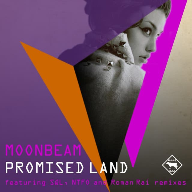 Promised Land cover art