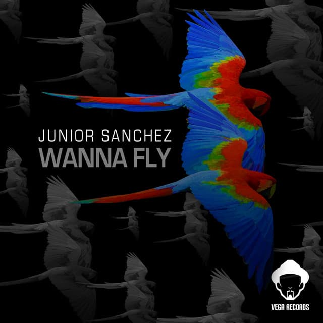 Wanna Fly - Original Mix cover art