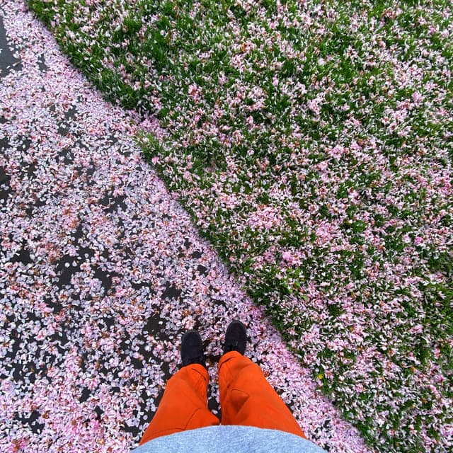 my feelings are hiding cover art