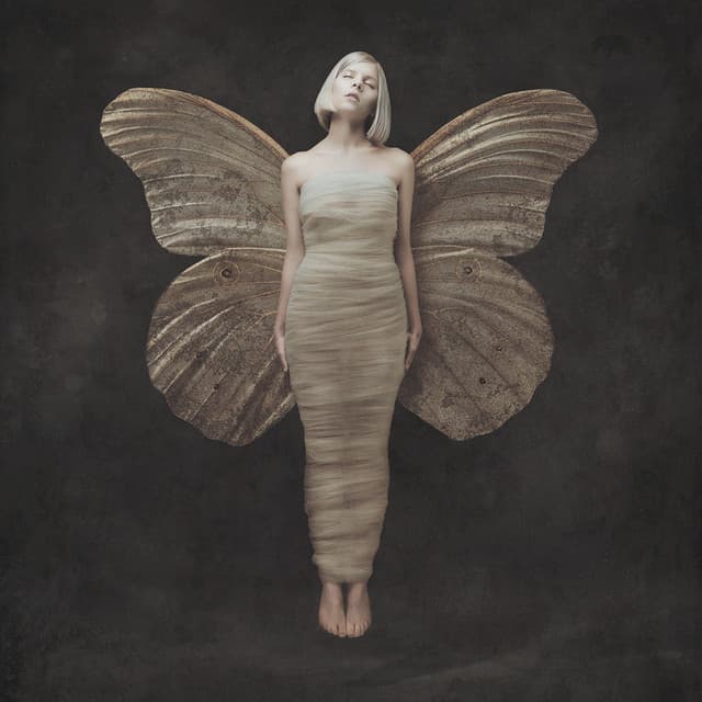 All My Demons Greeting Me as a Friend (Deluxe) cover art