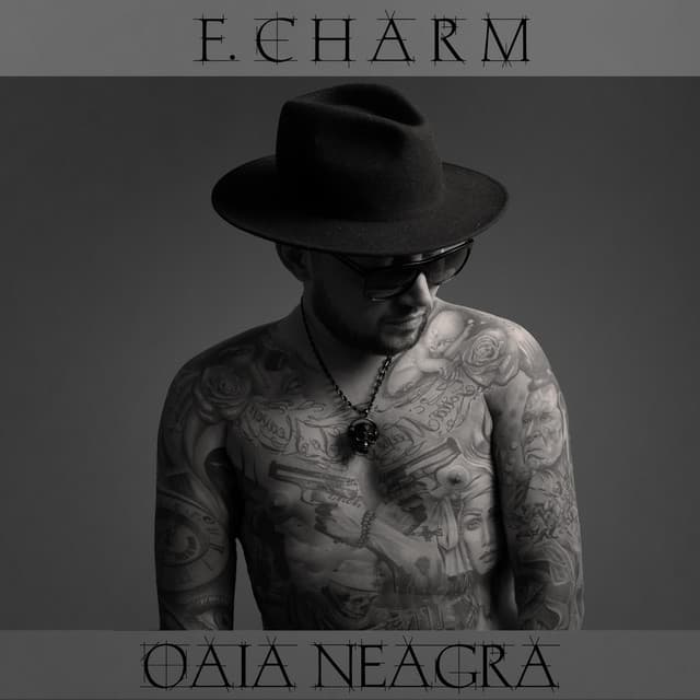 Ultima redută cover art