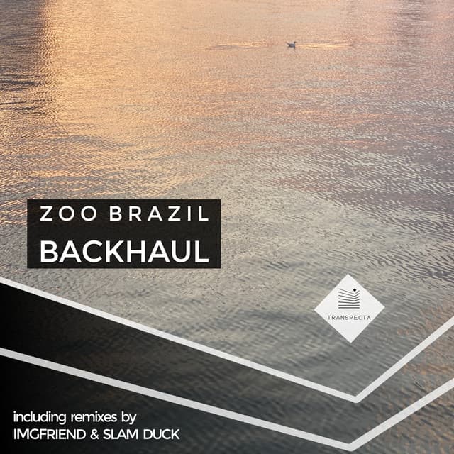 Backhaul - Slam Duck Remix cover art