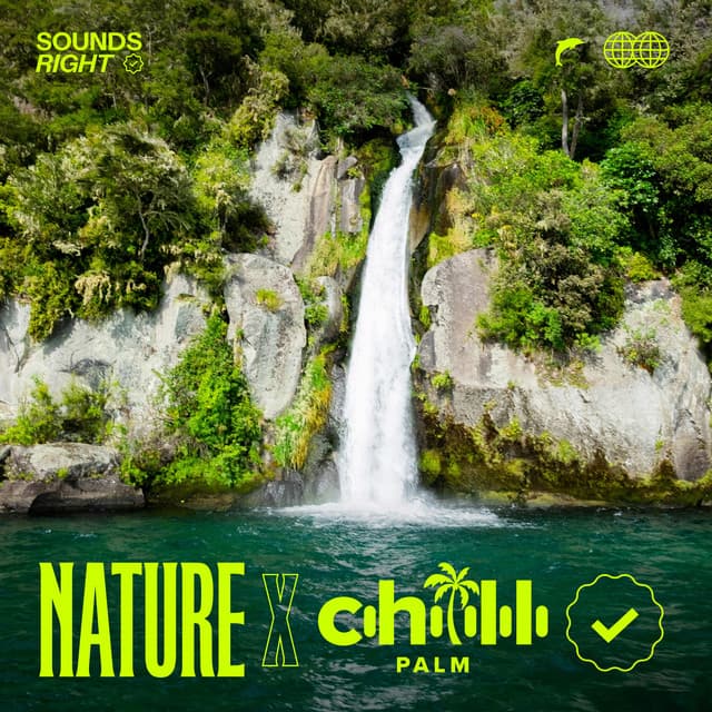 Calming Waterfalls cover art