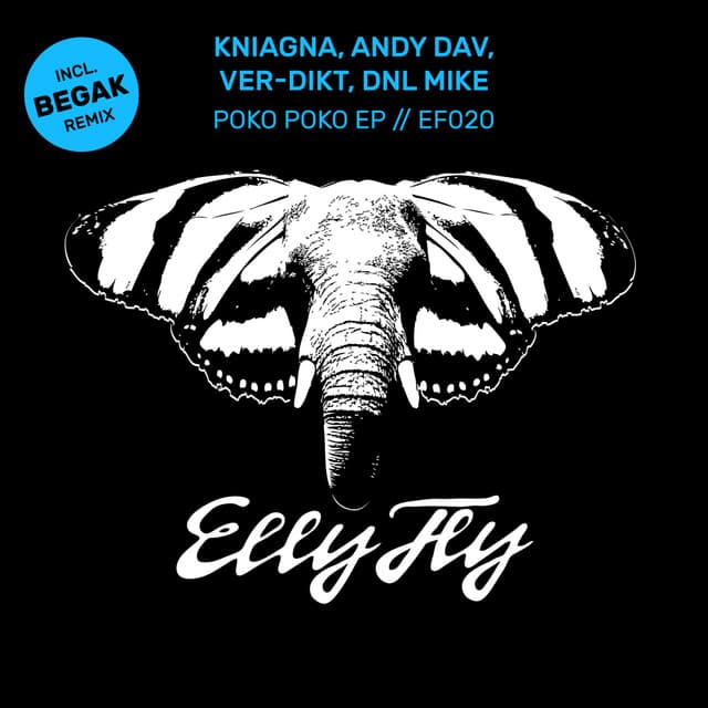 Poko Poko - Begak Remix cover art