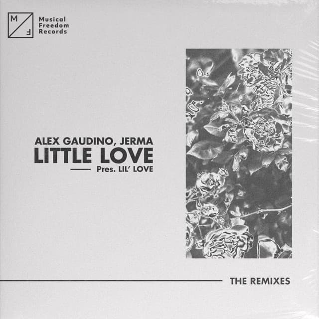 Little Love (pres. Lil' Love) - Alex Gaudino & Dyson Kellerman Discotronik 2020 Extended Remix cover art