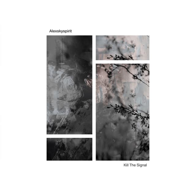 Kill The Signal cover art