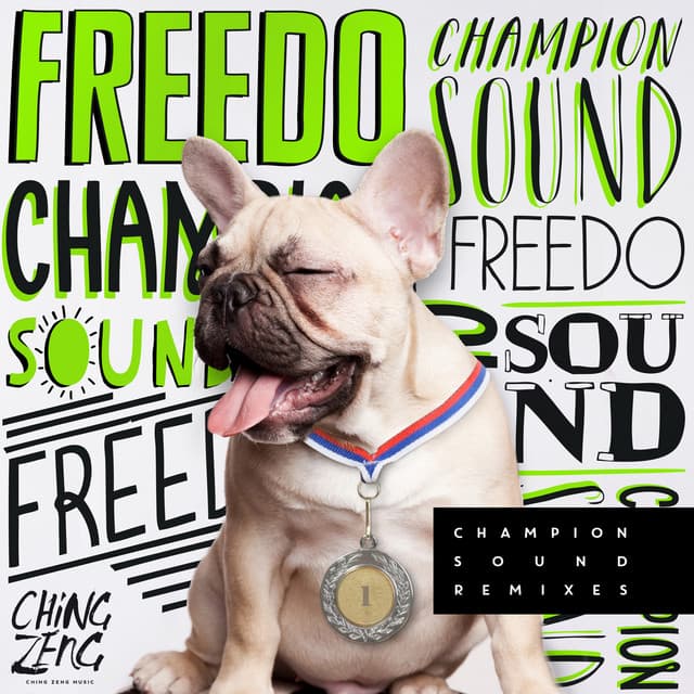 Champion Sound - DJ Katch Remix cover art
