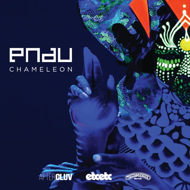 Chameleon cover art