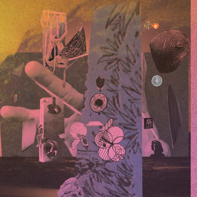 Peachy swan cover art