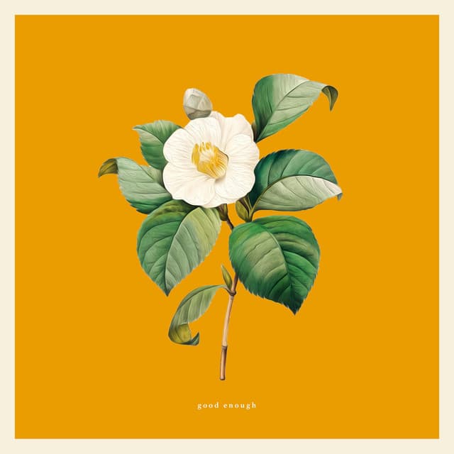 Good Enough cover art