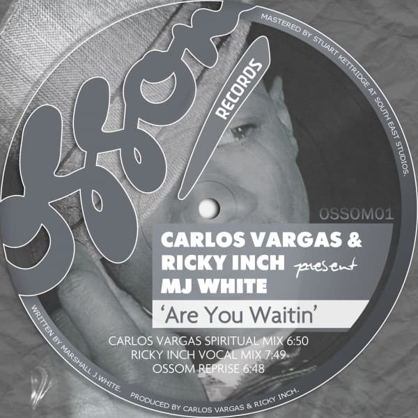 Are You Waitin (Carlos Vargas & Ricky Inch present MJ White) cover art