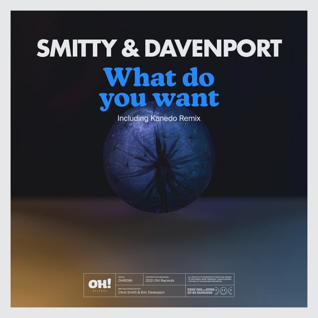 What Do You Want - Kanedo Remix cover art