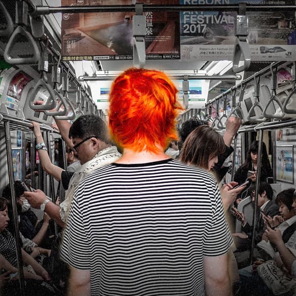 Daisy cover art