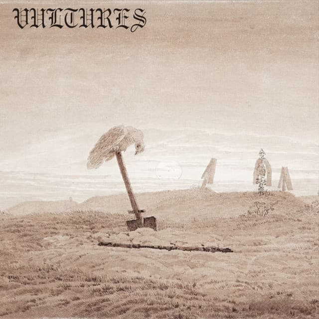 VULTURES - Havoc Version cover art