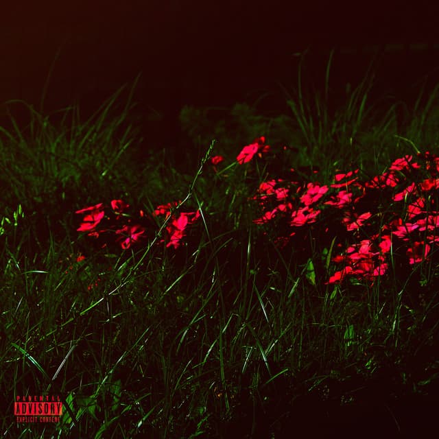 No Sleep cover art