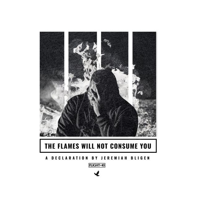 I Will Not Stop cover art