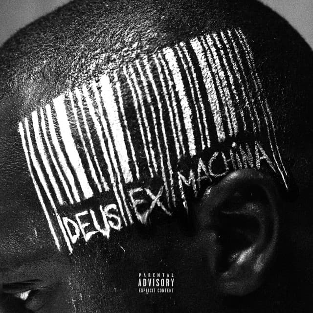 Never Loose, Only Learn cover art