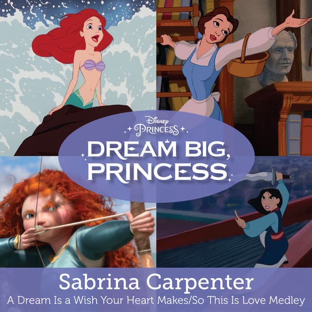 A Dream is a Wish Your Heart Makes/So This is Love cover art
