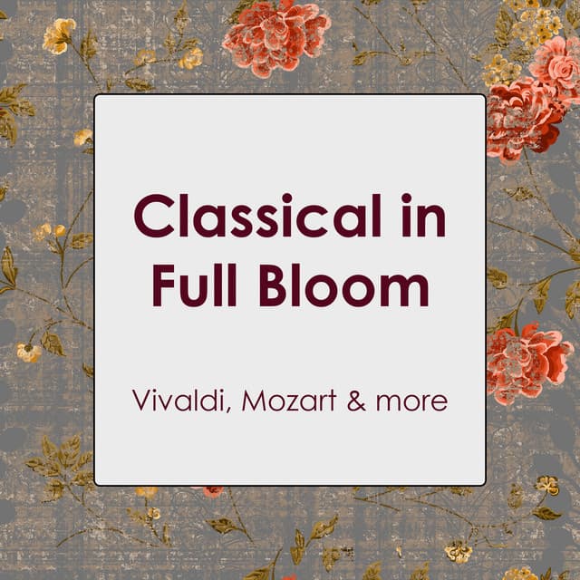 "Classical in Full Bloom" - Vivaldi, Mozart & more cover art