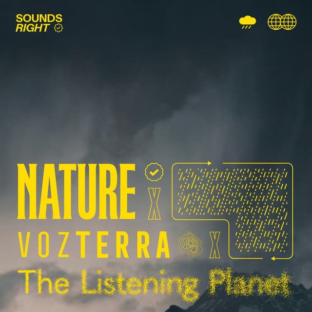 Rain Sounds Symphony cover art
