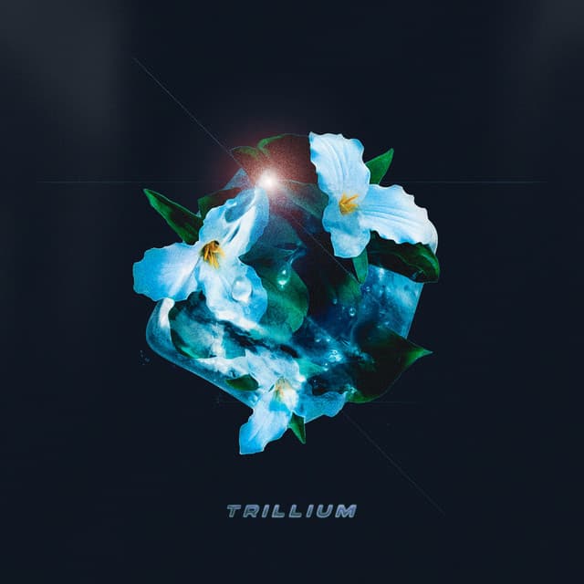 Trillium cover art