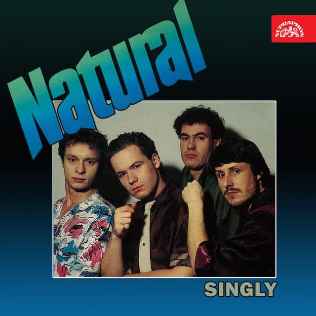 Nesbírám cover art