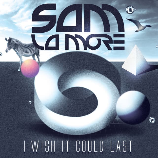 I Wish It Could Last cover art