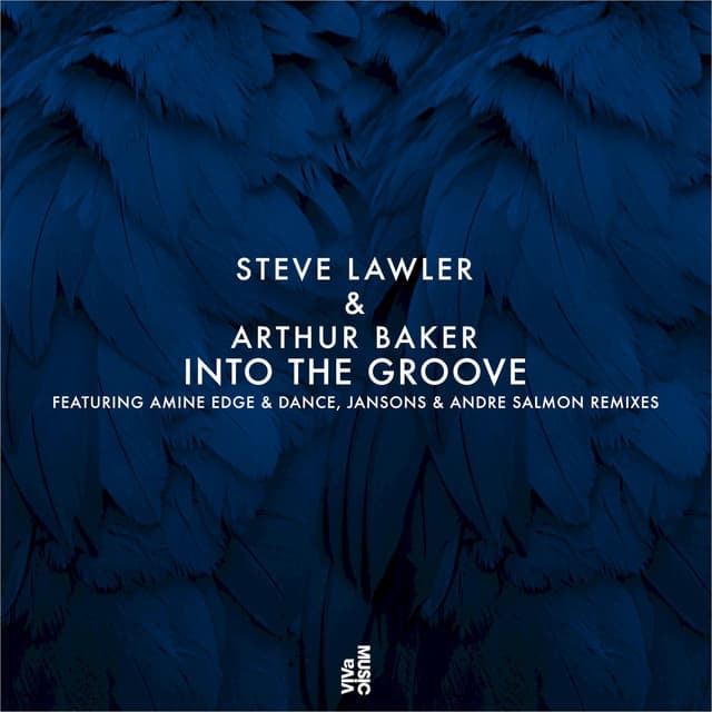 Into The Groove - Andre Salmon Remix cover art