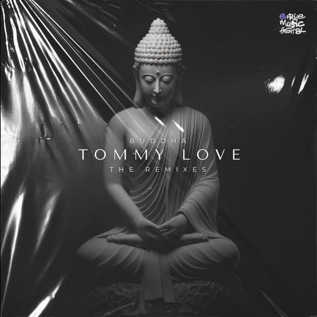 Buddha - Fabio Campos & Thierry Remix cover art