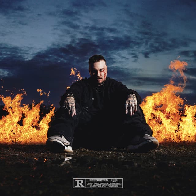 MOLOTOV cover art