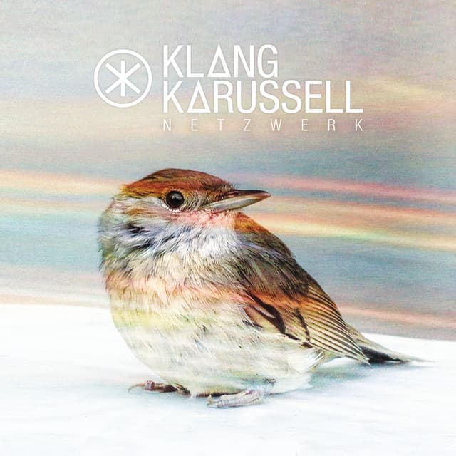 Netzwerk (Deluxe) cover art